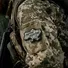Нашивка M-Tac Україна фортеця нескорених ММ14  Фото 2
